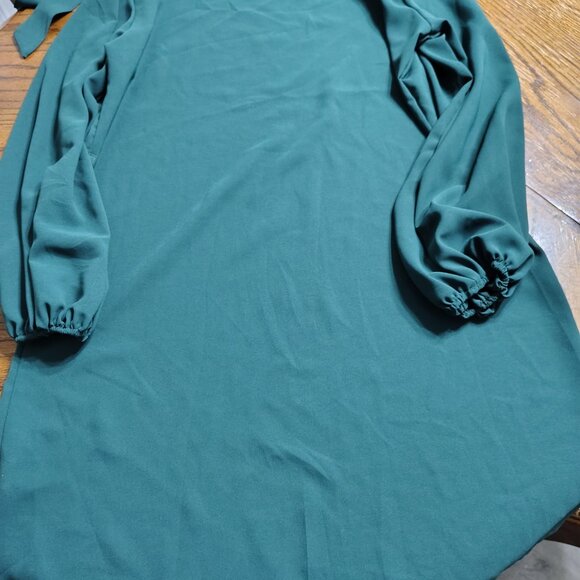 Long Sleeve Dress with Fabric Belt - Picture 5 of 5